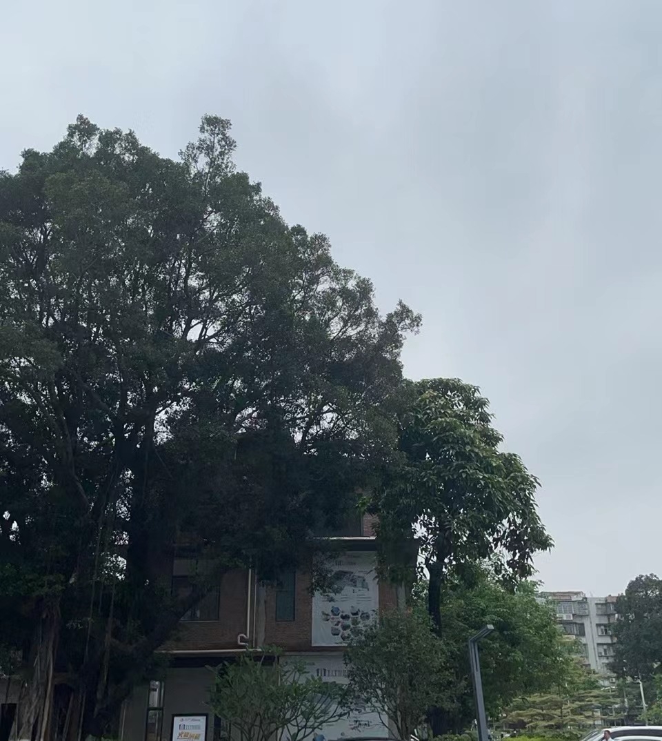 T.I.T智慧園2號(hào)大院東門(mén)獨(dú)棟